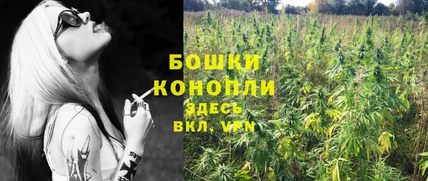 амф Елабуга