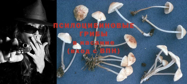 таблы Абинск
